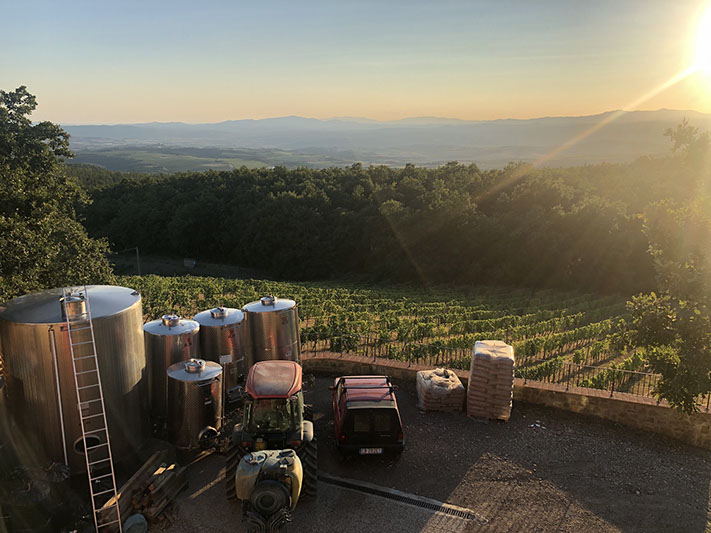 Le Ragnaie Vineyard